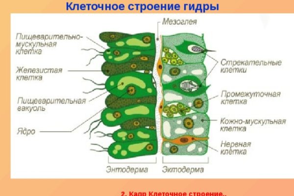 Кракен зеркало тор picassogallery com