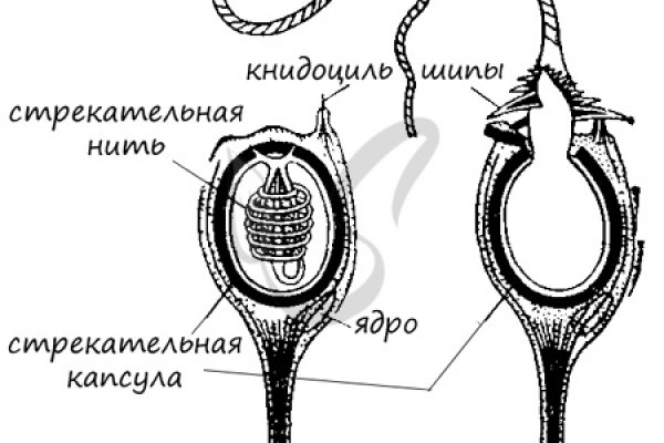 Кракен зеркало на сегодня